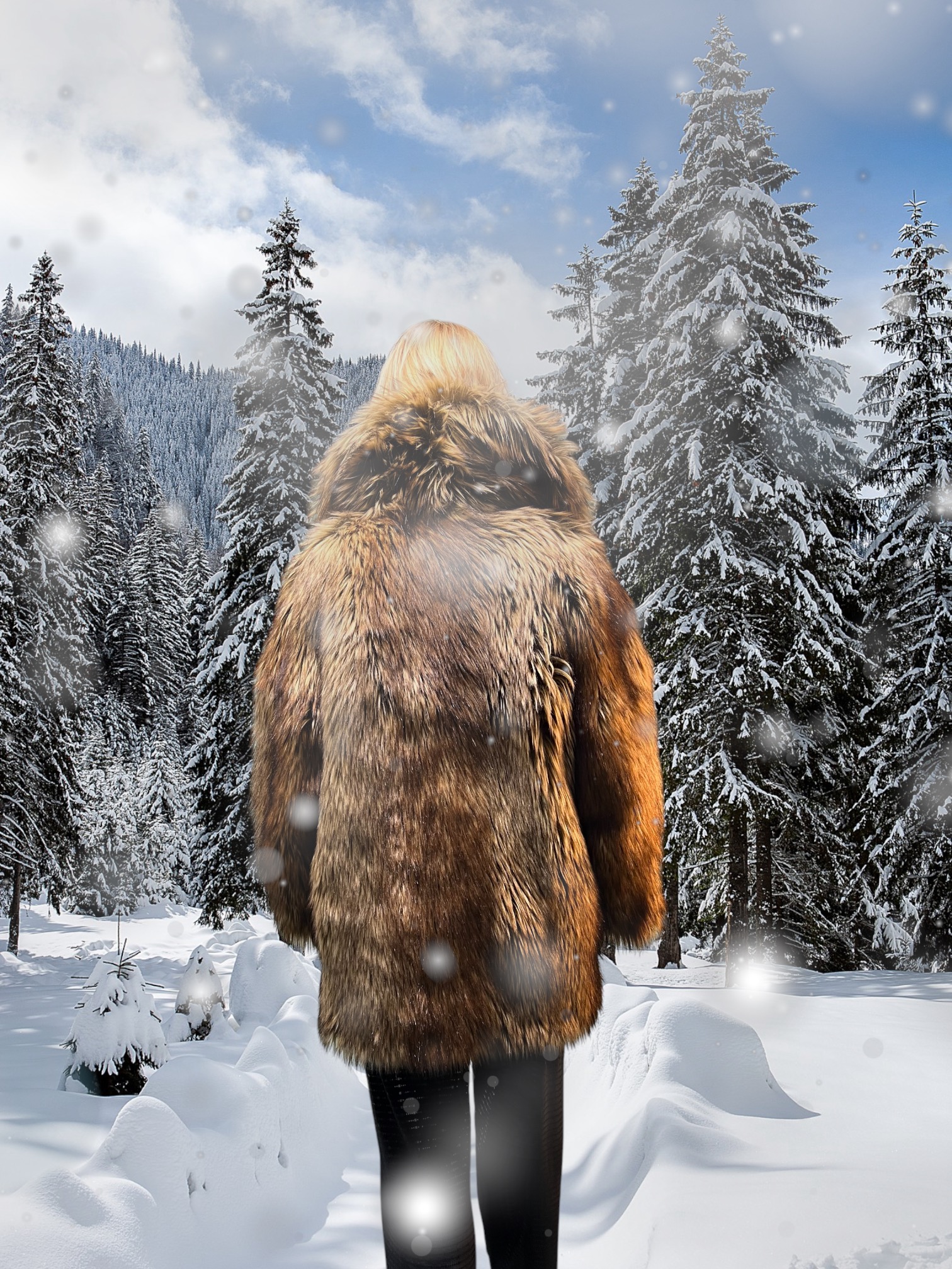 IMG_5251 Brown Wolf Faux Fur Coat